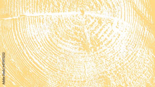 wood grain age ring texture vector illustration background