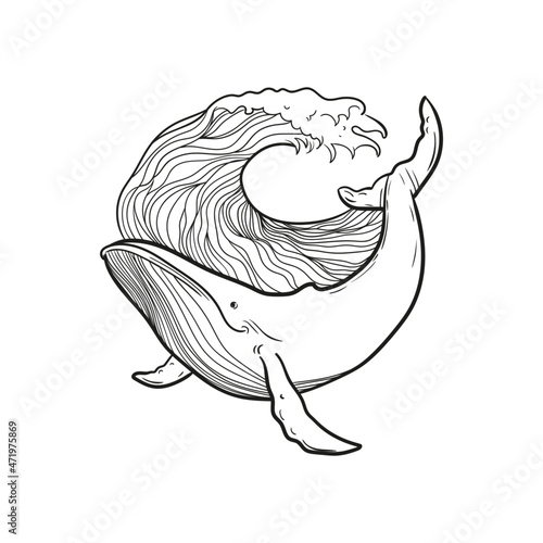 whale ocean wave abstraction lines