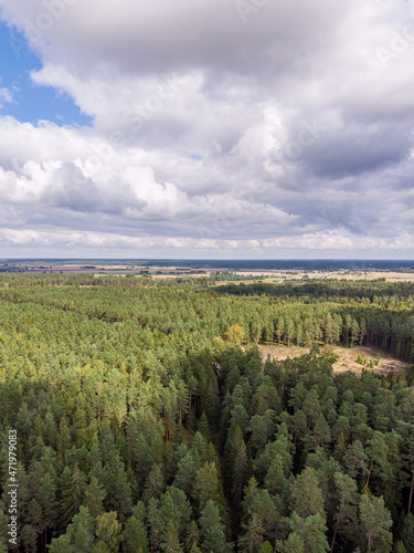 Areal drone birds eye view of countryside pine forest trees and cloudy overcast sky.