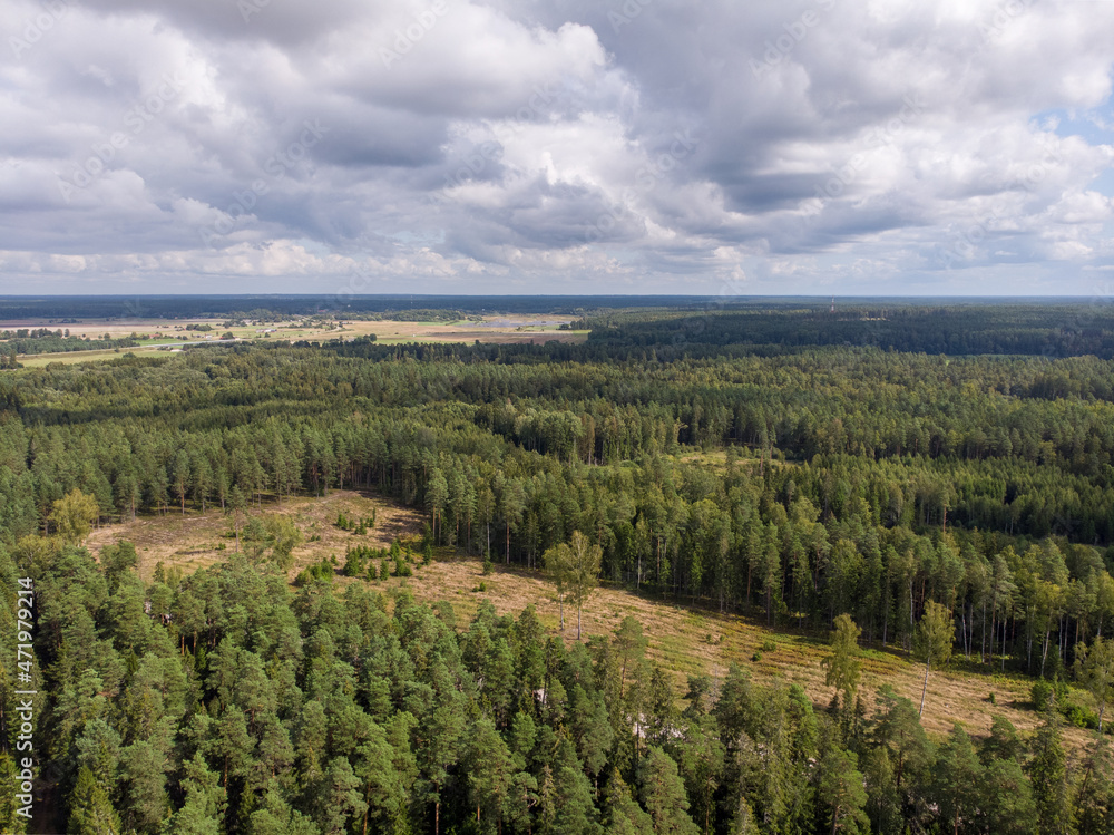 Areal drone photography view of beautiful countryside forest. Areal drone photography view of beautiful countryside forest.