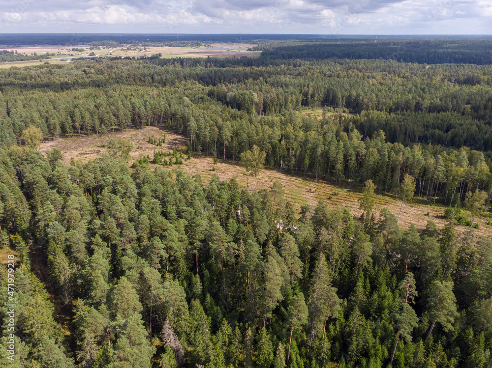 Areal drone photography view of beautiful countryside forest. Areal drone photography view of beautiful countryside forest.