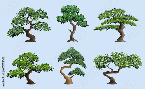 Bonsai tree. Decorative japanese authentic plants botanical elderly trees in pots decent vector realistic illustrations set isolated