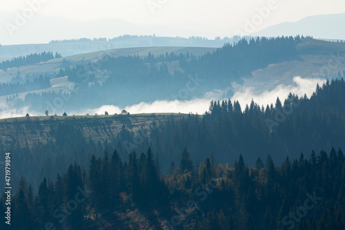 foggy travel scenery in mountains. wonderful autumn morning landscape with forests on hills © Pellinni