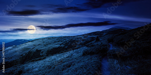 trail uphill the alpine meadow to the distant summit at night. beautiful mountain landscape in summertime in full moon light. clouds on the sky. travel countryside concept