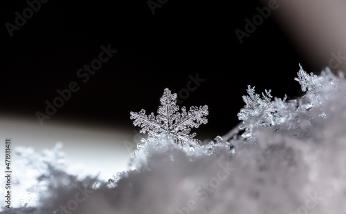 Snowflake on snow. Winter holidays and Christmas background 