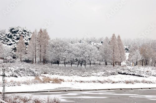Photography snowy landscape - Olympic Park, Seoul, Korea