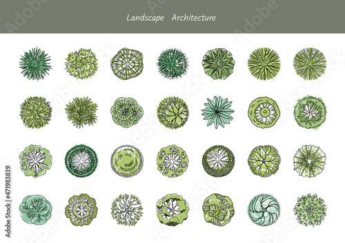 A set of diverse tree species from above for park plans and infographics. Landscape Architecture.