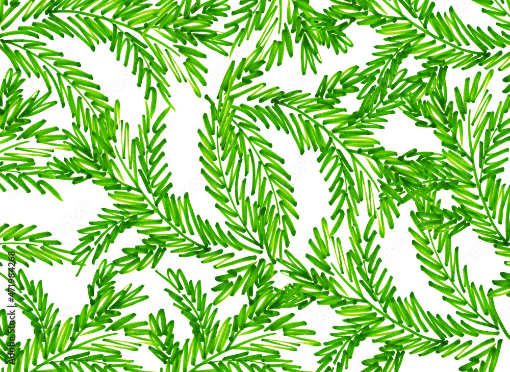 Background abstract paper green nature grass greenery summer plants foliage Christmas tree marker lines holiday new year christmas spruce green Christmas wreath with made of fir branches drawing