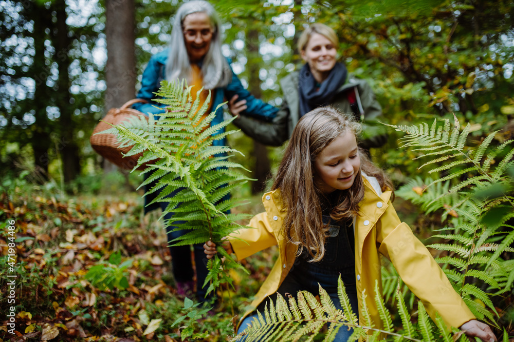 Happy little girl holding fern leaves during autumn walk with mother and grandmother in forest
