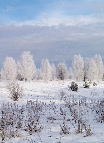 The Rural landscape at winter length of time on background blue sky with cloud.