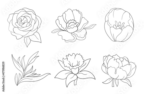 Black illustration grafic flowers peony, rose, tulip, strelitzia, daffodil, anemone.