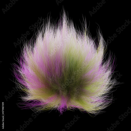 fluffy ball, colorful furry sphere isolated on black background 