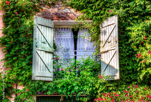 Climbers Surrounding a Window in the Village of Tourtour, Provence, France photo