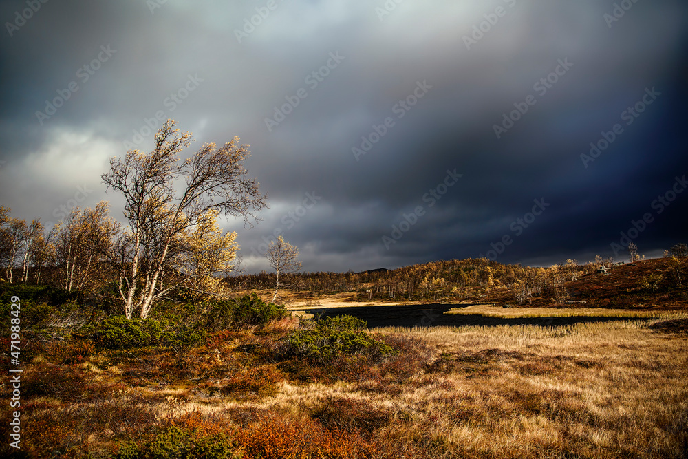 Autumn Storm Close to Beitostolen, Norway Autumn Storm Close to Beitostolen, Norway