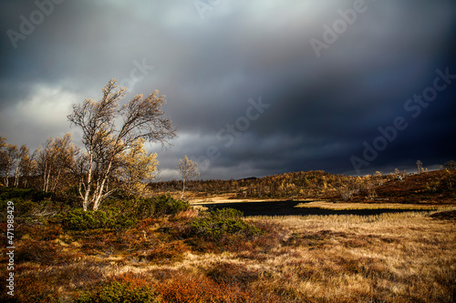 Autumn Storm Close to Beitostolen, Norway photo