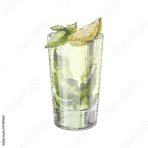 Mojito cocktail with lime and mint in highball glass. Vintage hatching vector
