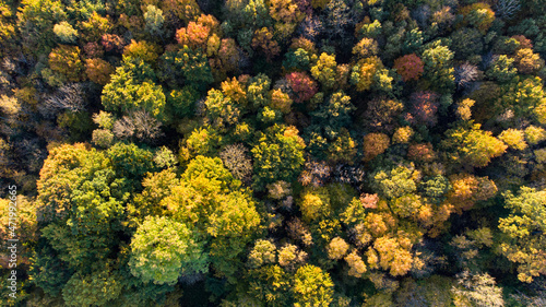 Beautiful colored forest seen from above. Aerial drone footage of German forest in Munich in autumn