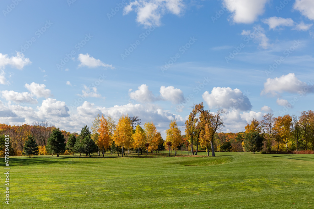 Glade in autumn park with different trees on a background