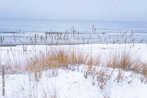 Fototapeta Naklejka Na Ścianę i Meble -  Winter landscape, snow on sea beach