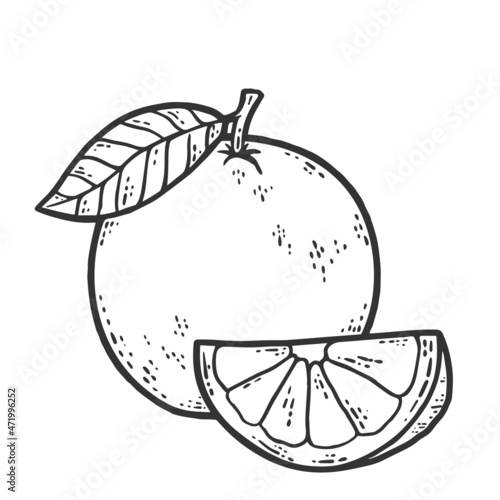 Whole orange and slice. Sketch scratch board imitation. Black and white.