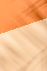 Warm orange and beige summer color background with tropical palm shadow. Two trend pastel paper and exotic plant shade layout. Minimal flat lay with leaf silhouette overlay.