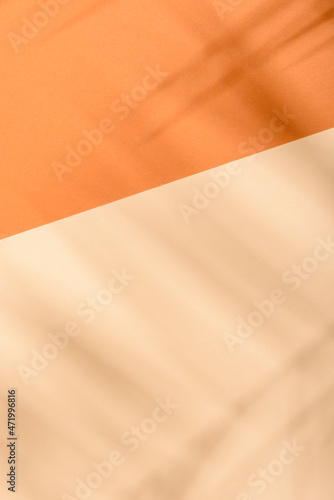 Warm orange and beige summer color background with tropical palm shadow. Two trend pastel paper and exotic plant shade layout. Minimal flat lay with leaf silhouette overlay.