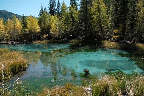 Fototapeta Naklejka Na Ścianę i Meble -  Scenic View of Geyser Lake with Clear Turquoise Water in Altai Republic
