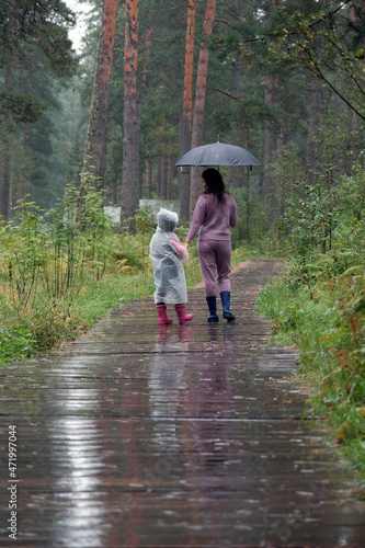 Back View of Young Mother with her Cute Little Daughter Walking in the Rain on Wooden Path in the Forest. Woman Holding Umbrela and Little Girl Wearing a Raincoat 