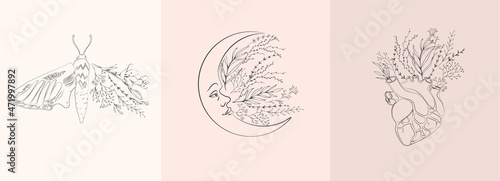 Half shape butterfly, heart and moon with branch and flowers for tattoo t-shirt print or wall art. Hand drawn wedding herb. Botanical rustic trendy greenery. Vector
