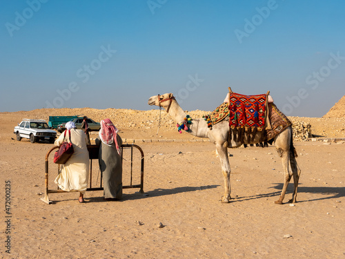 Giza, Cairo, Egypt - September 30, 2021: Egyptians in national dress await tourists for a camel ride near the Egyptian pyramids. © lexosn