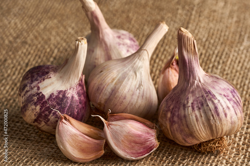 Garlic heads on fabric