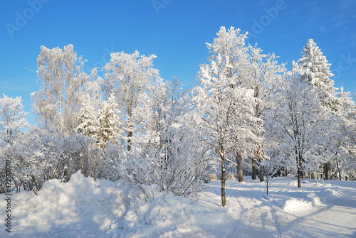 Park in Imatra in winter