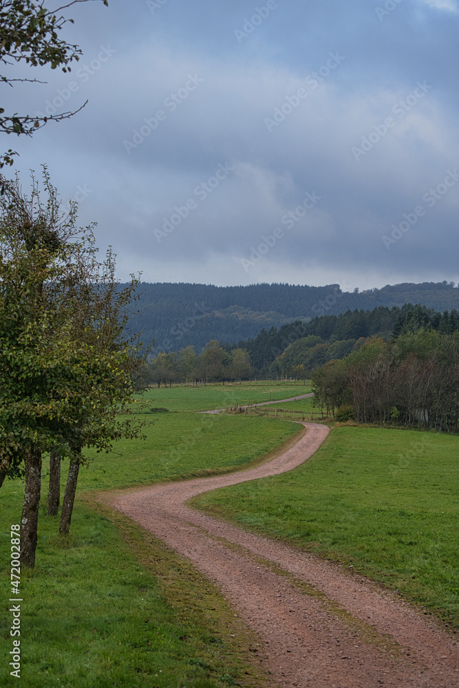 In Saarland forests, meadows and solitary trees in autumn look.