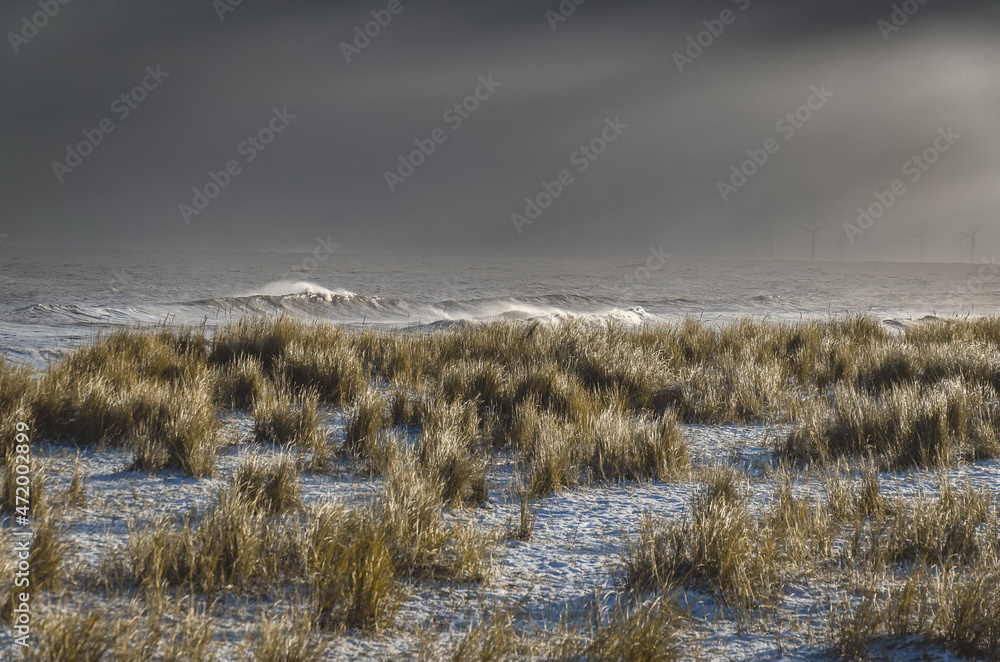 Fototapeta premium stormy sky and snow on the beach