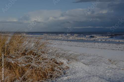 dunes in the snow