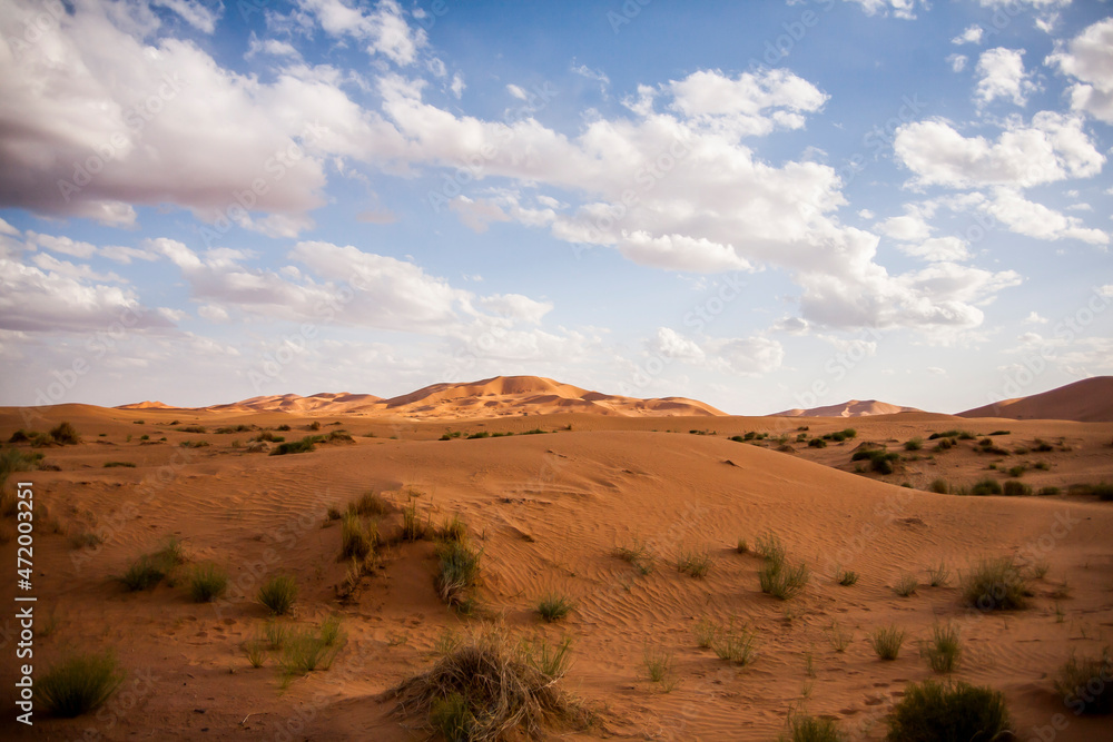 Dry landscape and dunes in the Sahara desert, Morocco