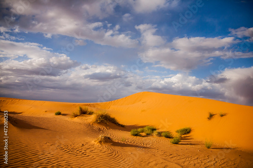 Dry landscape and dunes in the Sahara desert  Morocco