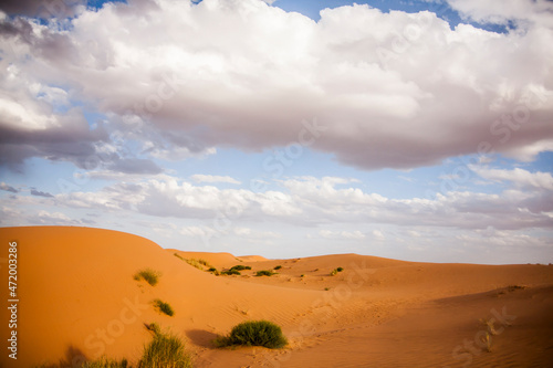 Dry landscape and dunes in the Sahara desert  Morocco