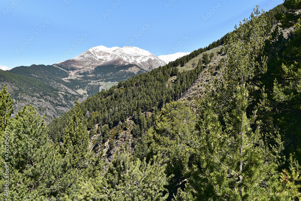 Andorra - Mirador del Bosc de les Allaus - Bony de les Neres