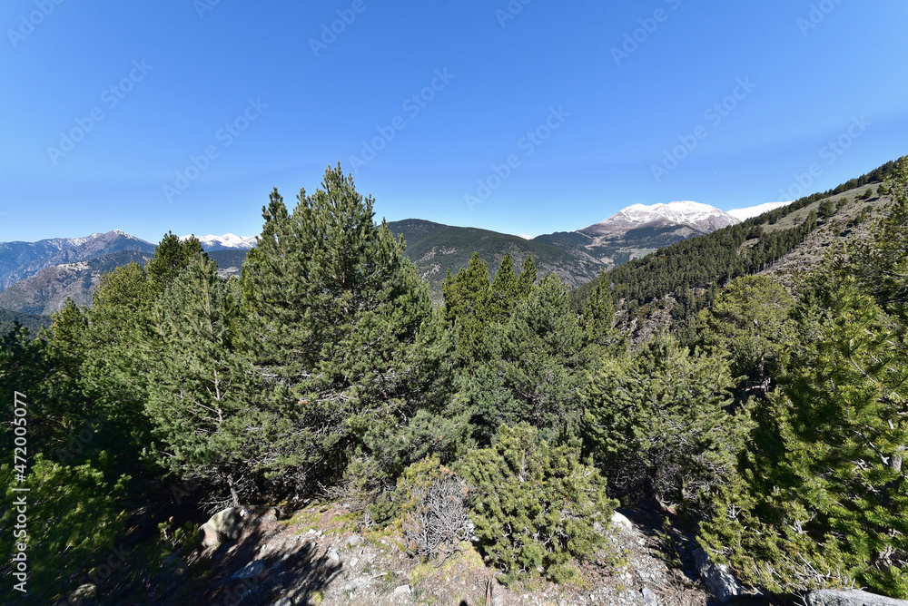 Andorra - Mirador del Bosc de les Allaus