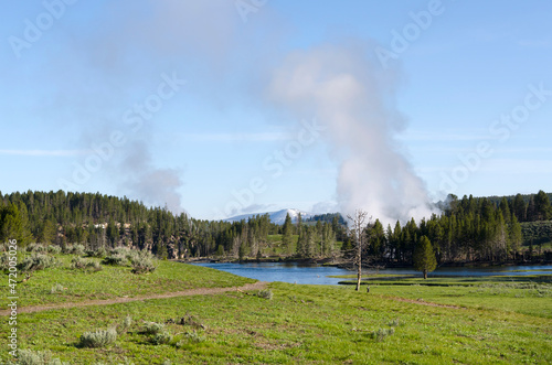 trees, river, Geyser and hot spring in old faithful basin in Yellowstone National Park in Wyoming photo