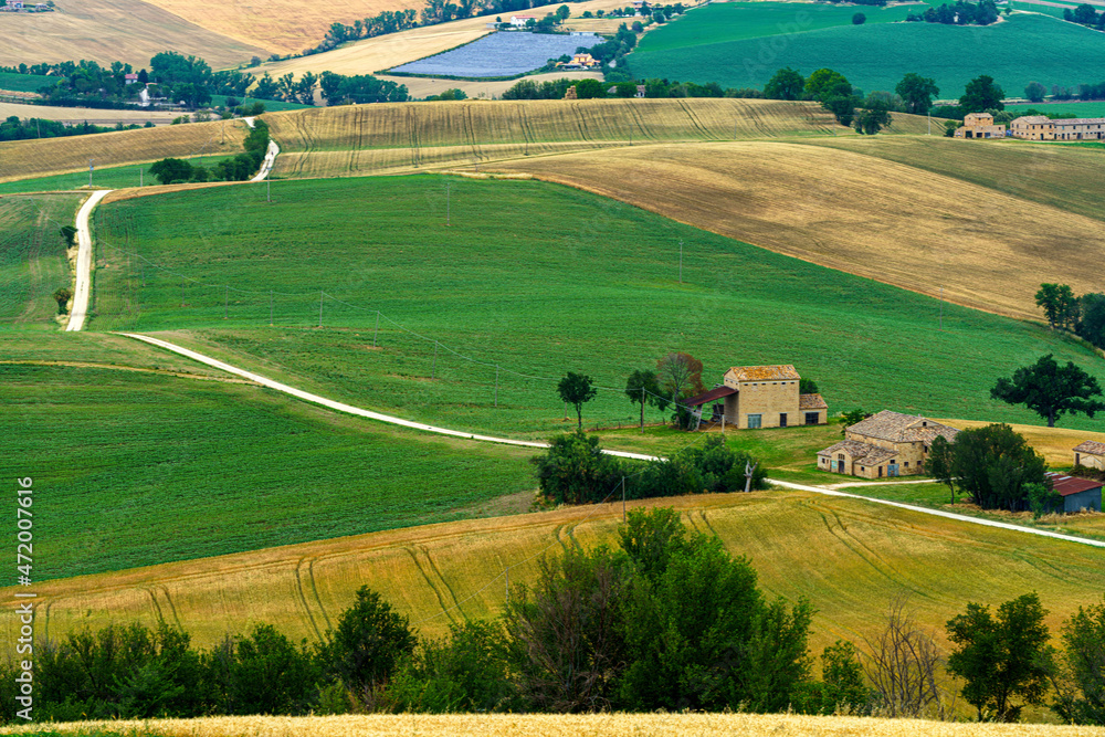 Rural landscape near Cingoli and Appignano, Marche, Italy