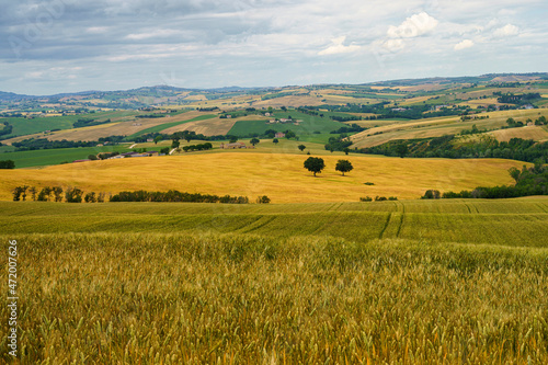 Rural landscape near Cingoli and Appignano, Marche, Italy © Claudio Colombo