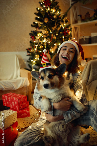 Laughing woman in Santa Claus headwear having fun with her pet Corgi dog at Christmas time, sitting against festive x-mas tree, lights and presents