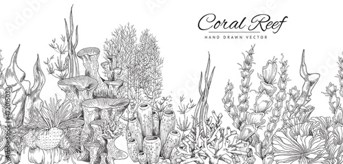 Fototapeta Naklejka Na Ścianę i Meble -  Coral reef hand drawn background or seamless banner in sketch style, vector illustration on white.