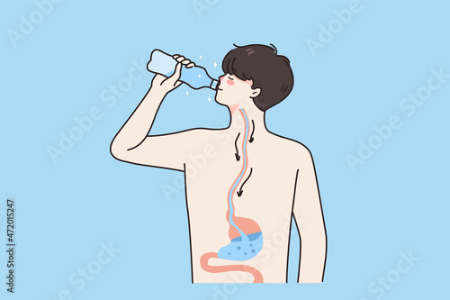 Digestive system and drinking water concept. Young boy standing drinking pure clean water going into his stomach living healthy lifestyle vector illustration 