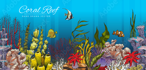 Fototapeta Naklejka Na Ścianę i Meble -  Coral reef decorative banner background with marine plants vector illustration.