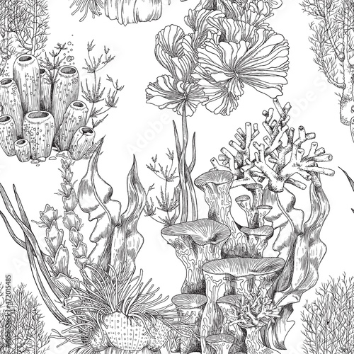Endless seamless pattern with coral reef plants, vintage vector illustration.