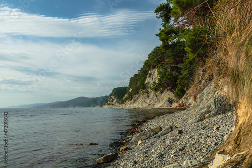 View of the sea coast with a pebble beach, rocks and green pines. In the background is a blue sky with clouds. Calm seascape.