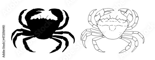 sketch silhouette of a crab. drawing of a marine animal, a whole crab in black outline and silhouette, top view, on white for a vintage seafood logo design template